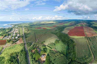 /international/us/64-486-kamehameha-highway-haleiwa-hi-110103050107/