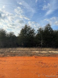 /international/us/deer-loop-lot-22-camden-al-110081757072/