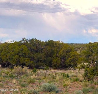 /international/us/elk-valley-ranch-lot-61-62-st-johns-az-110106989595/