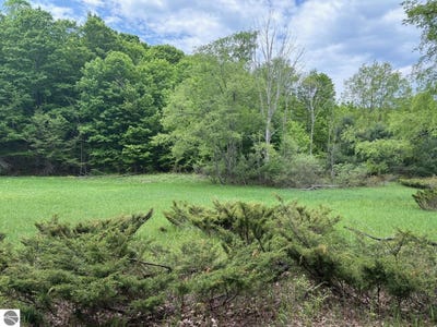 /international/us/13631-s-beaver-pond-road-empire-mi-110108331846/