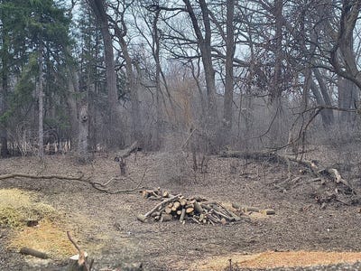 /international/us/asbury-avenue-lot-2-fox-river-grove-il-110106493247/