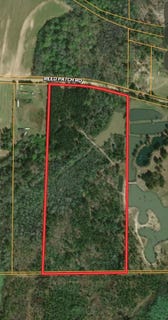 /international/us/26-acres-reed-patch-rd-black-al-110108909282/