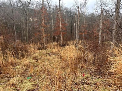 /international/us/9-joplin-pl-south-charleston-wv-110105848101/