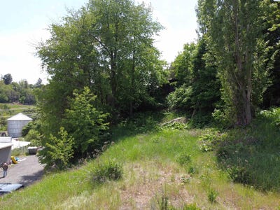 /international/us/129-nw-true-pullman-wa-110107688199/
