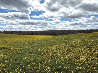 /international/us/elm-road-birnamwood-wi-110108224297/
