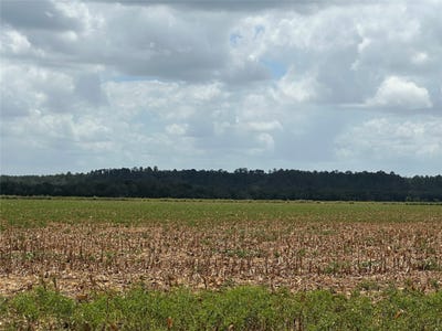 /international/us/rabbs-prairie-rd-la-grange-tx-110109859615/
