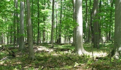 /international/us/355-townley-hill-road-horseheads-ny-110103759616/