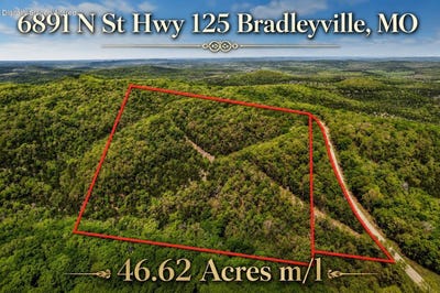 /international/us/6891-n-state-highway-125-bradleyville-mo-110108236247/