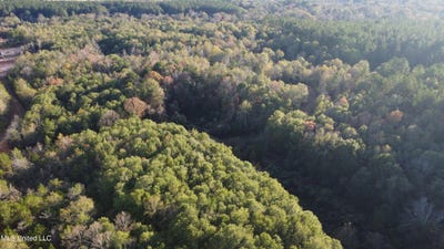 /international/us/10-mile-creek-road-foxworth-ms-110104199739/