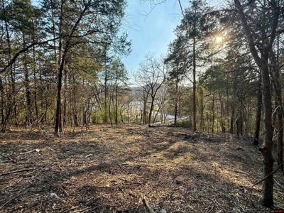 /international/us/004-00632-000-hwy-345-cotter-ar-110107536026/