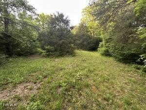 /international/us/carlos-road-sneedville-tn-110119545453/