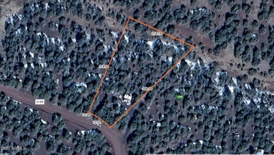 /international/us/59-acr-3189-vernon-az-110101066778/