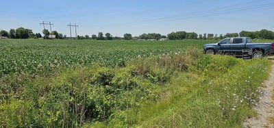 /international/us/w-german-road-bay-city-mi-110104601383/