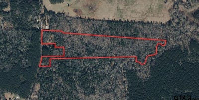 /international/us/406-county-road-2115-shelbyville-tx-110107823994/