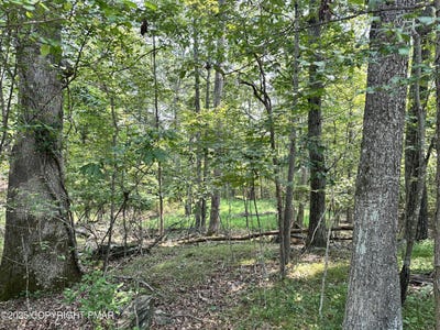 /international/us/timber-hill-rd-2b-henryville-pa-110107483479/