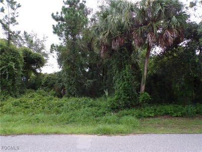 /international/us/20404-wingate-avenue-port-charlotte-fl-110101136624/?lang=zh-cn