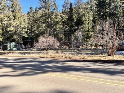 /international/us/60037-wallowa-lake-hwy-joseph-or-110105800322/