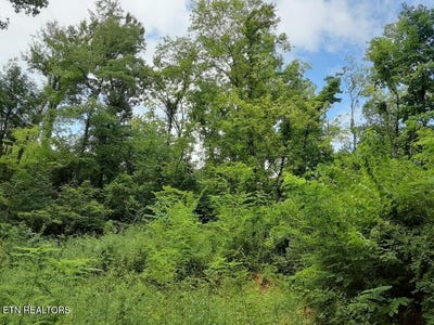 /international/us/2036-ridge-rd-pigeon-forge-tn-110101222507/?lang=en
