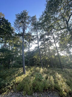 /international/us/30-sam-hollow-road-wellfleet-ma-110105731989/