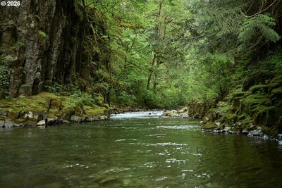 /international/us/1241-n-fork-rd-washougal-wa-110109196945/?lang=pt