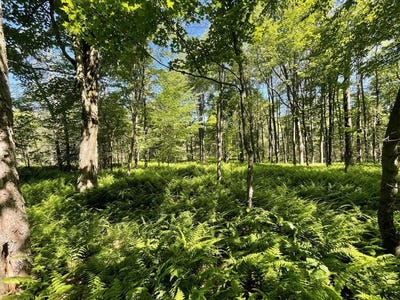 /international/us/00-sugar-bush-trail-galeton-pa-110100469096/?lang=zh-tw