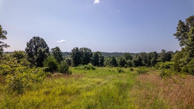 /international/us/0-england-cemetery-trail-mammoth-spring-ar-110101101655/?lang=zh-tw