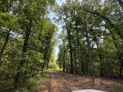 /international/us/205-hwy-35-mccarley-ms-110101076072/?lang=zh-tw