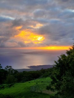 /international/us/2239-upper-kanaio-rd-kula-hi-110099586496/