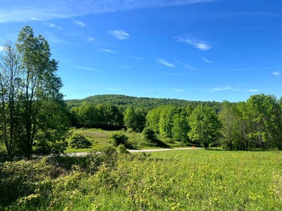 /international/us/mooretown-road-lot-3-pittsfield-ny-110108551733/