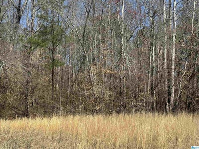 /international/us/mary-drive-lot-13-roanoke-al-110108609923/