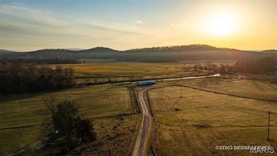 /international/us/0-highway-n-angus-lane-1-patterson-mo-110098217605/