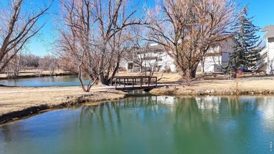 /international/us/1705-heatheridge-rd-fort-collins-co-110106186181/