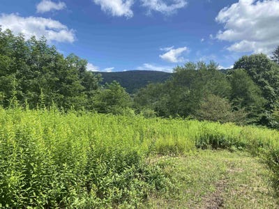 /international/us/sunset-mountain-village-drive-lot-133-slaty-fork-wv-110101423156/