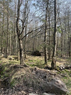 /international/us/lot-720-elk-run-road-pocono-lake-pa-110099163725/?lang=es
