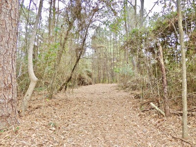 /international/us/rocky-branch-rd-sumrall-ms-110104909500/
