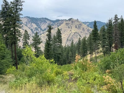 /international/us/salmon-river-road-riggins-id-110101932052/