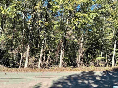 /international/us/mountain-view-lane-lot-15-vance-al-110120549199/