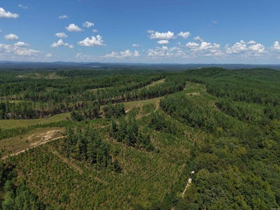 /international/us/cedar-creek-lonsdale-tx-110110178364/