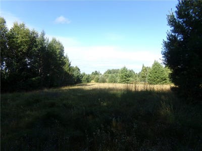 /international/us/7581-s-marsik-lot-1-road-lake-nebagamon-wi-110101647456/