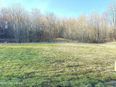 /international/us/3412-westhill-cir-louisville-ky-110107982299/