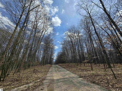 /international/us/00-w-20-road-mesick-mi-110107584984/