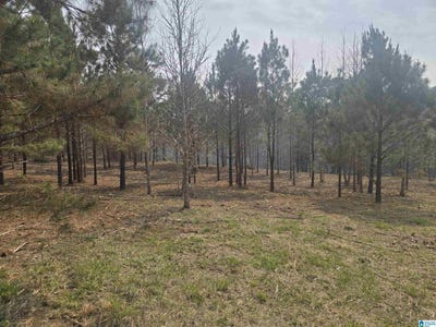 /international/us/county-road-108-lot-10-rockford-al-110120488749/