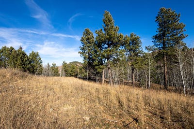 /international/us/lot-43-noble-grand-court-sturgis-sd-110103718488/