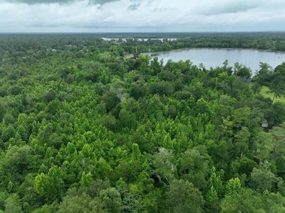 /international/us/holly-island-dr-donalsonville-ga-110110165685/