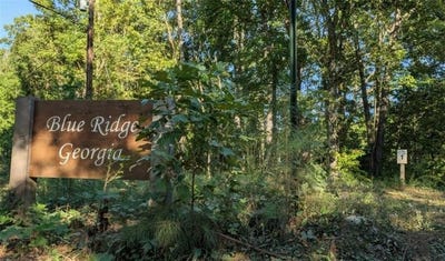/international/us/lot-1-white-oak-circle-blue-ridge-ga-110110379426/