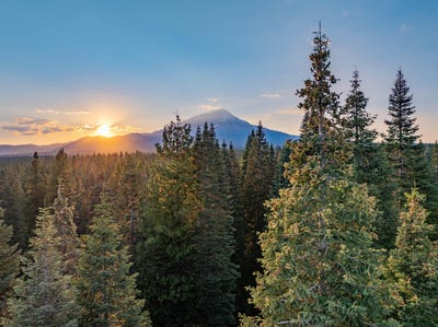/international/us/pilgrim-creek-road-mccloud-ca-110101621719/