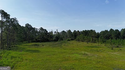 /international/us/0-tallahassee-hazlehurst-ga-110100593655/