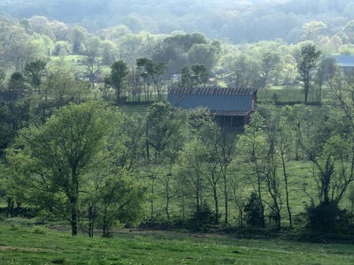 /international/us/little-creek-road-mountain-grove-mo-110107396656/