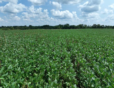 /international/us/235th-trail-chariton-ia-110119511555/