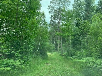 /international/us/tbd-mushgee-road-sand-lake-twp-mn-110101499397/?lang=it